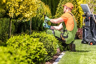 lawn-maintenance-newton lawn maintenance newton
