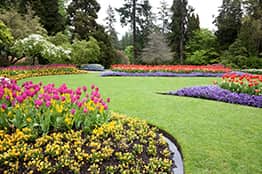 seasonal-planting
