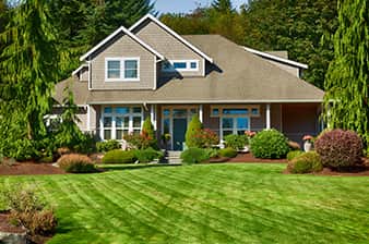 tree-shrub-fertilizer-service tree-shrub-fertilizer-services